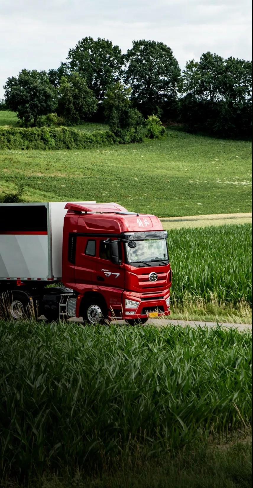 1553249320536130.jpg B.jpg