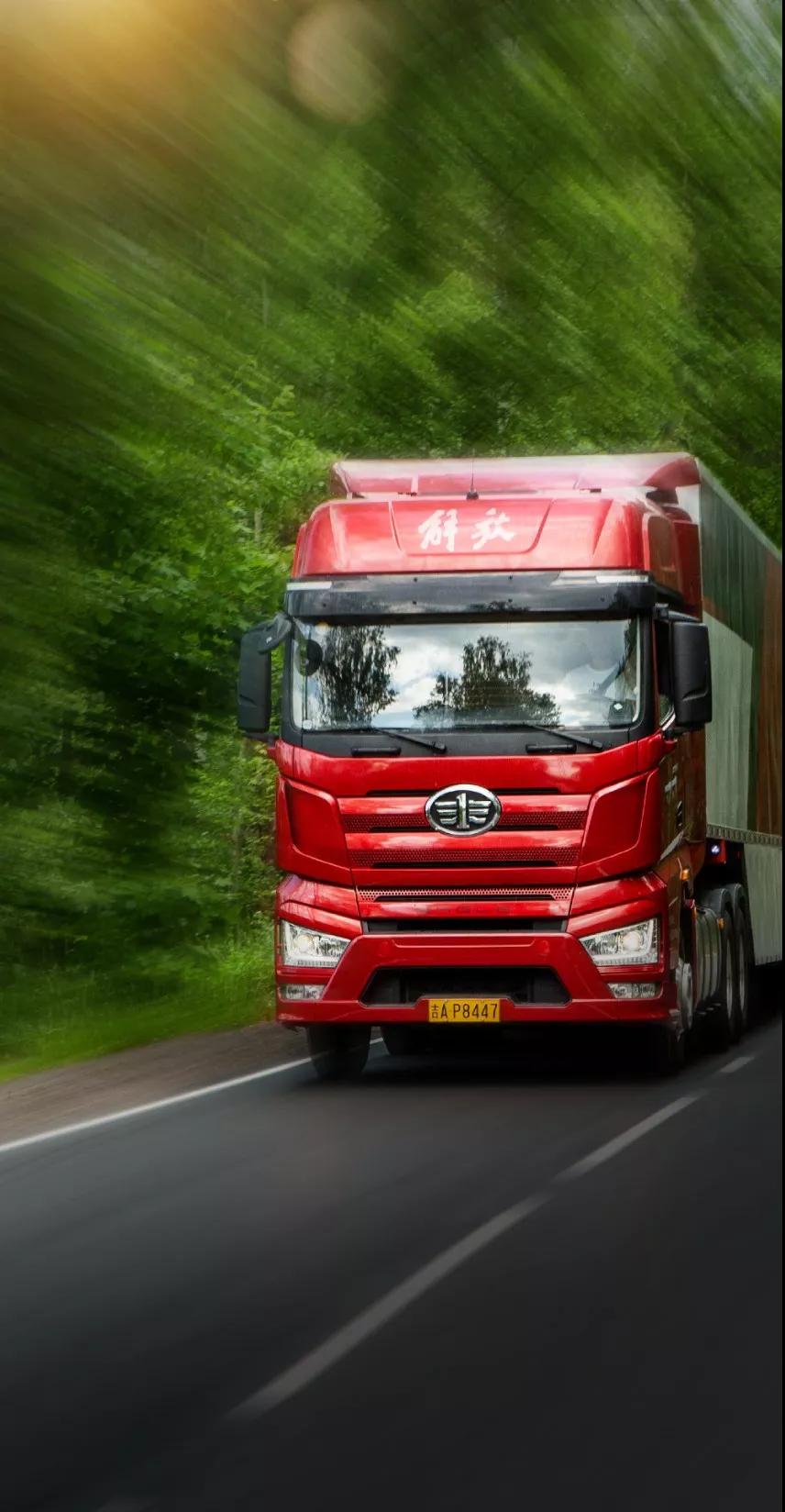 1553249399380832.jpg D.jpg